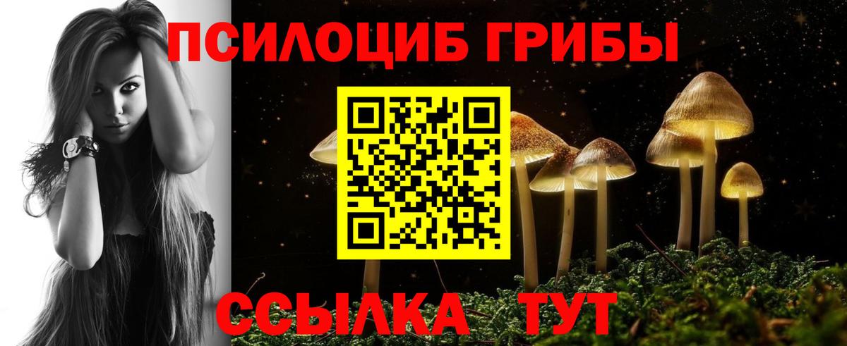 Псилоцибиновые грибы мицелий Вышний Волочёк
