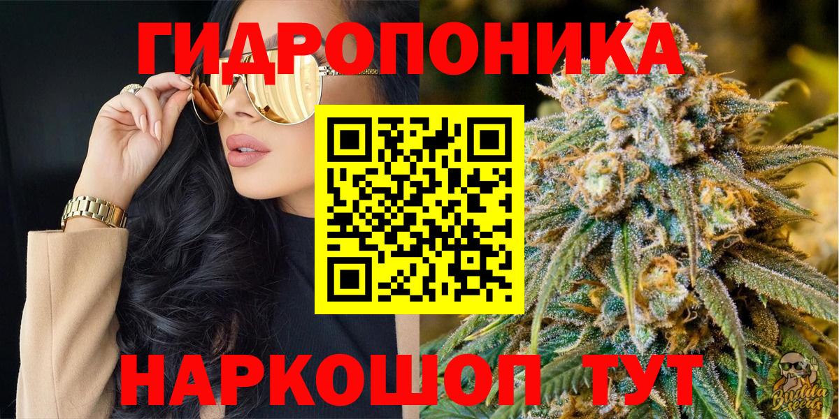 Шишки марихуана планчик  Бошки марихуана Amnesia  Вышний Волочёк  Вход с VPN  Шишки марихуана White Widow  Конопля White Widow 